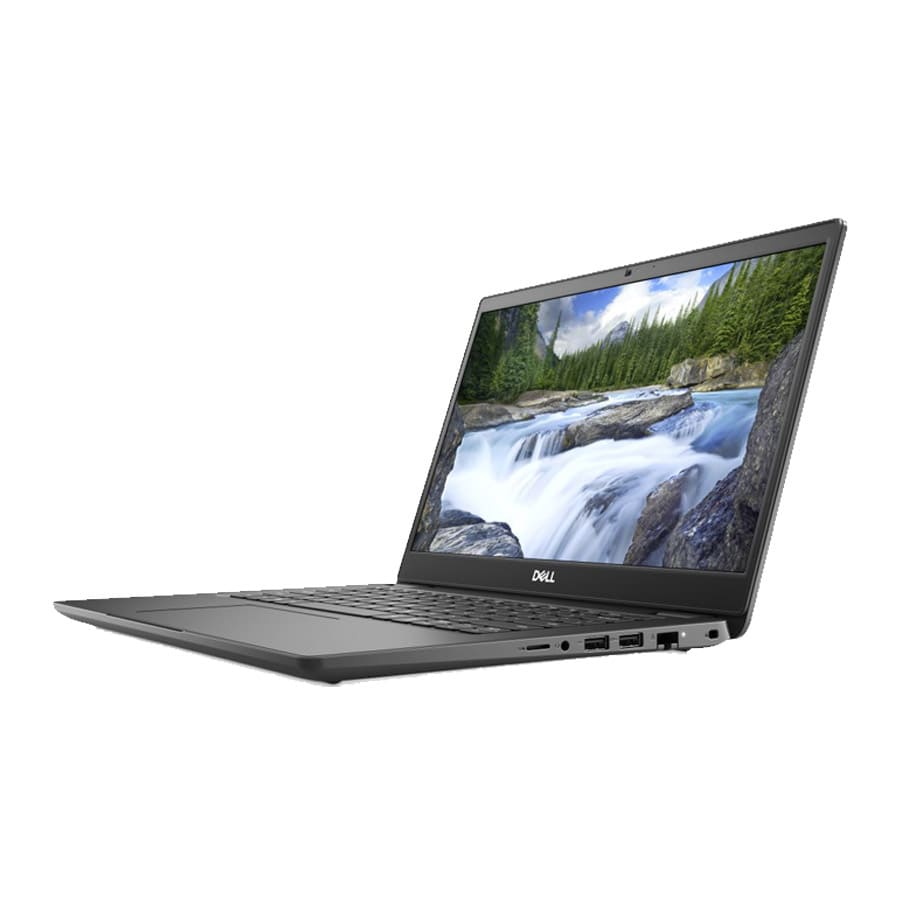 DELL1 (3).jpg